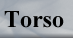 torso button